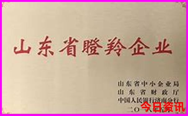 国内适合避暑的城市